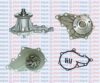 AQUAPLUS 85-5305 Water Pump